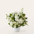 Eternal Affection Arrangement