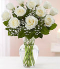 12 Rose Elegance white