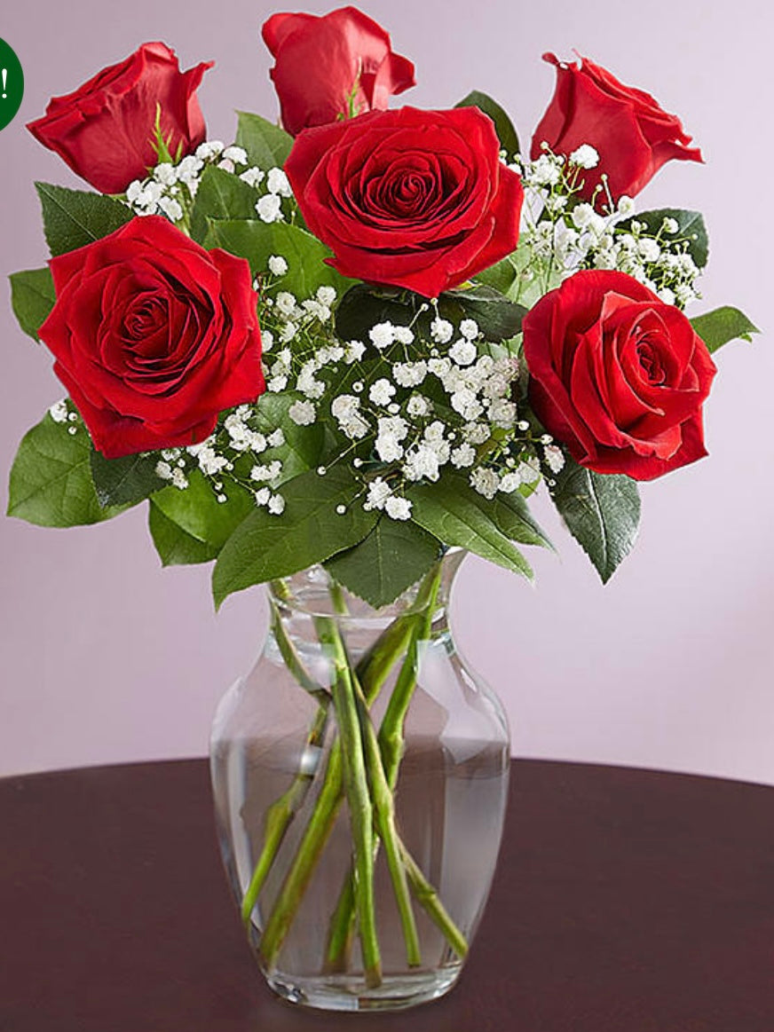 6 Rose Elegance red