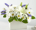 Beyond Blue Box Bouquet